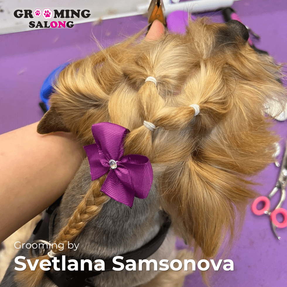 Lemmik pärast groomingut Grooming Salongis